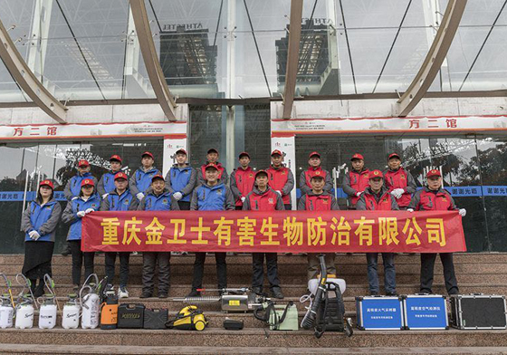 散白蟻侵害現(xiàn)代建筑，如何有效進行白蟻防治處理