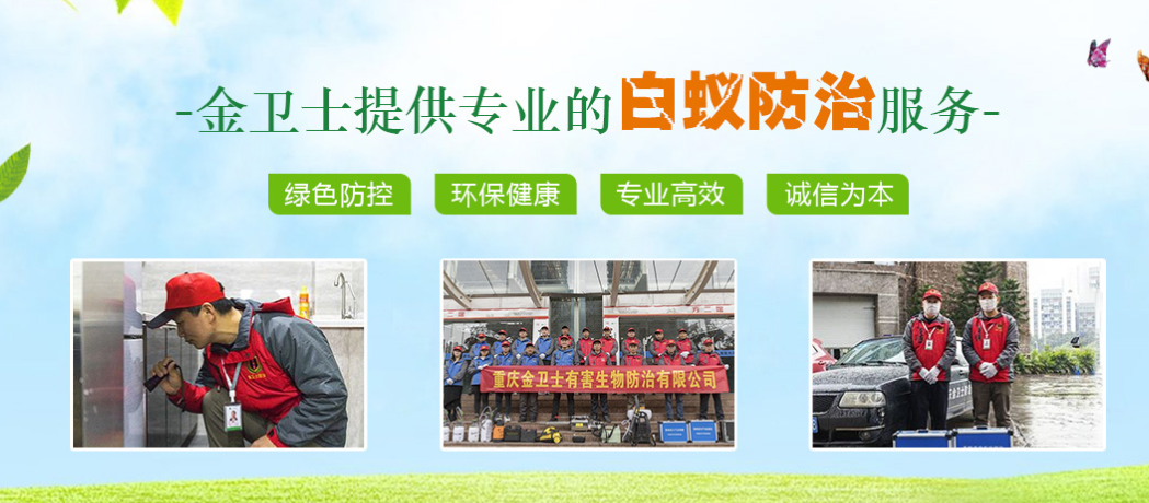 春季3月時期，白蟻消殺工作任重而道遠  ?